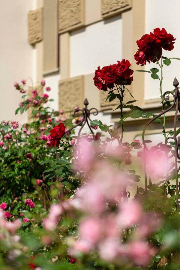 Fantasia Budget Boutique Hotel Fussen